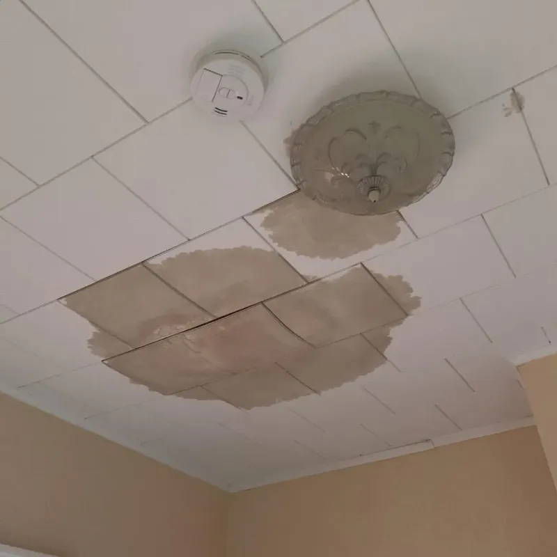 Ceiling Water Damage Repair in Peachtree Corners, GA